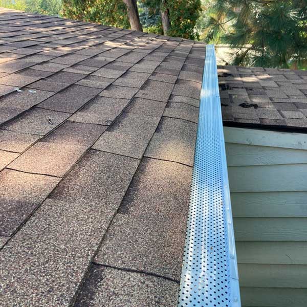 Leaf Guards for Missoula