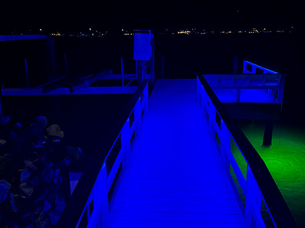 Dock & Walkway Lighting
