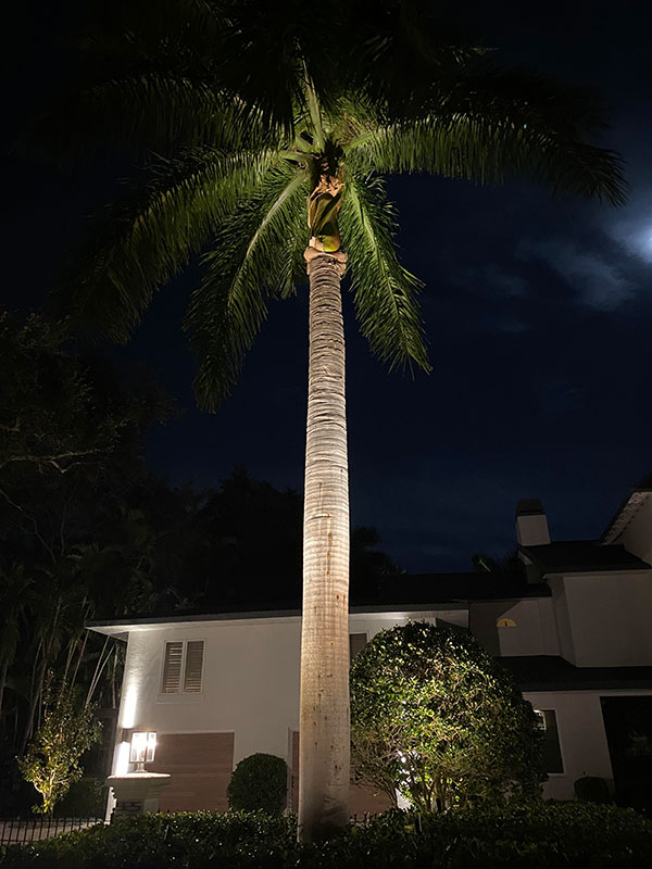 Outdoor & Landscape Lighting Services in Tarpon Springs