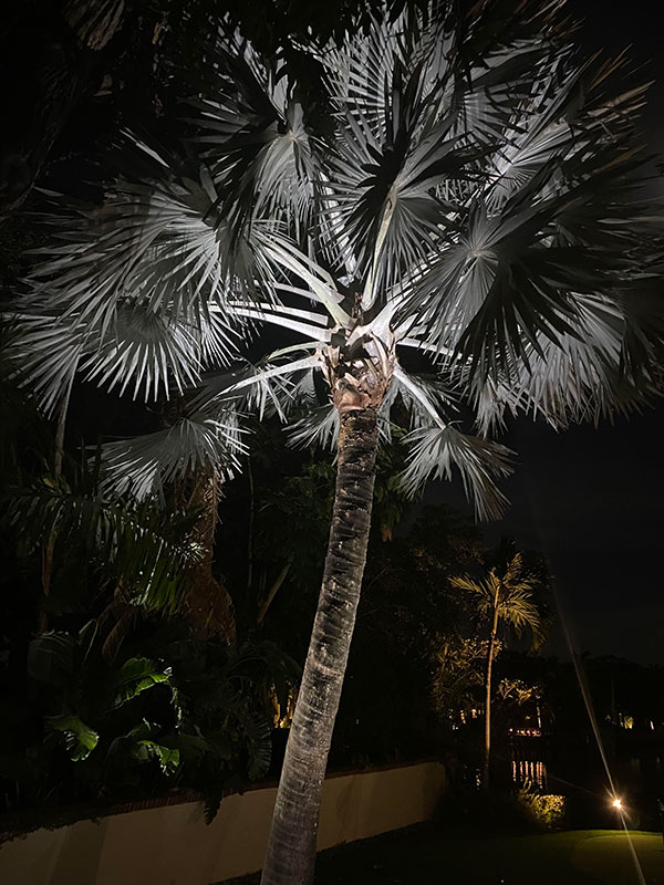 Outdoor & Landscape Lighting Services in Tarpon Springs