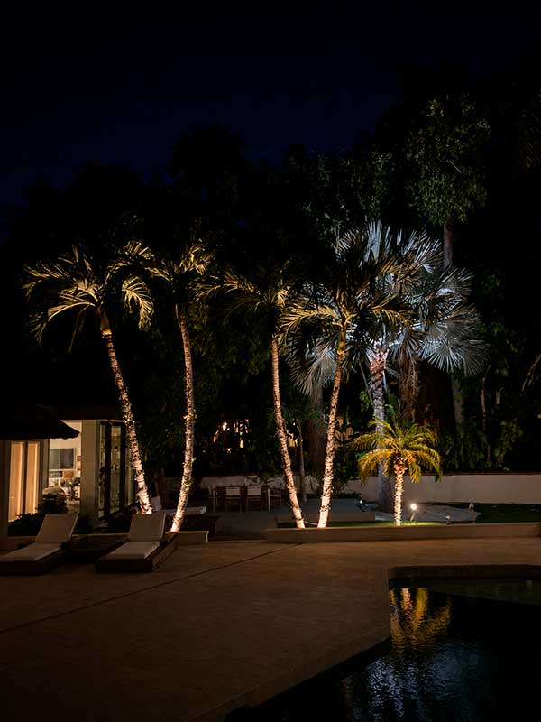 Outdoor & Landscape Lighting Services