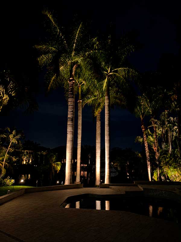 Outdoor & Landscape Lighting Services