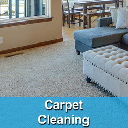 Carpet Cleaning