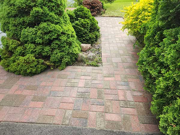 BA - Restoration after