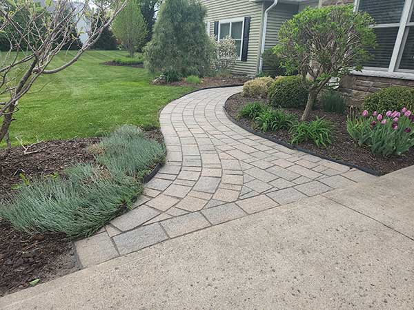 BA - Restoration after