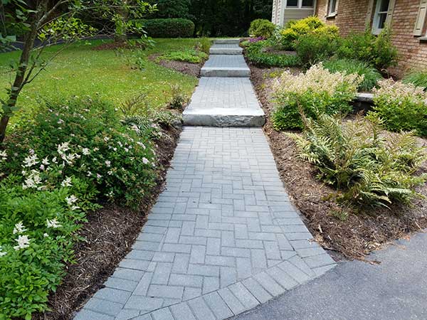 BA - Restoration after