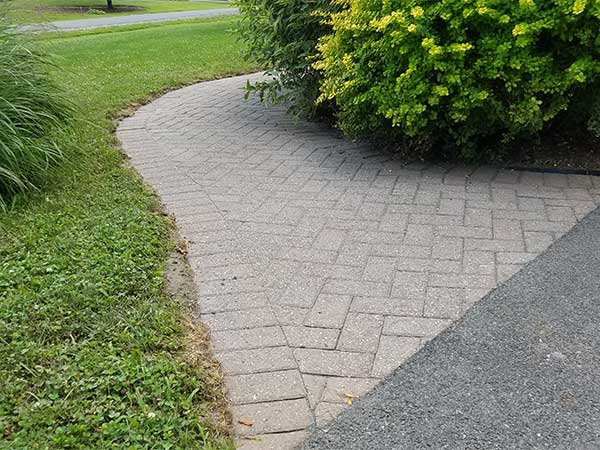 BA - Restoration after