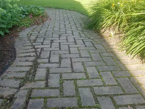 BA - Restoration before