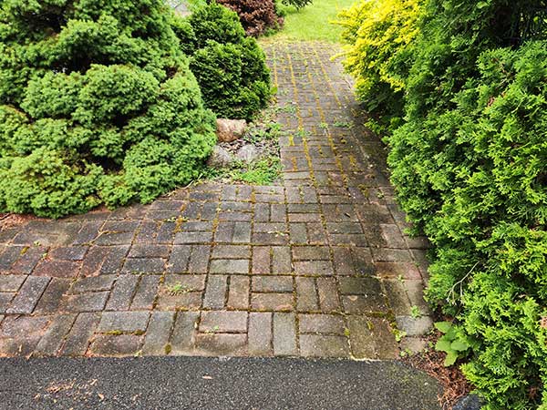 BA - Restoration before