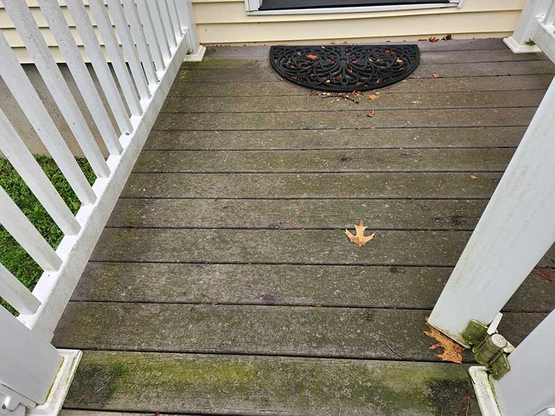 Fence and Deck Cleaning before