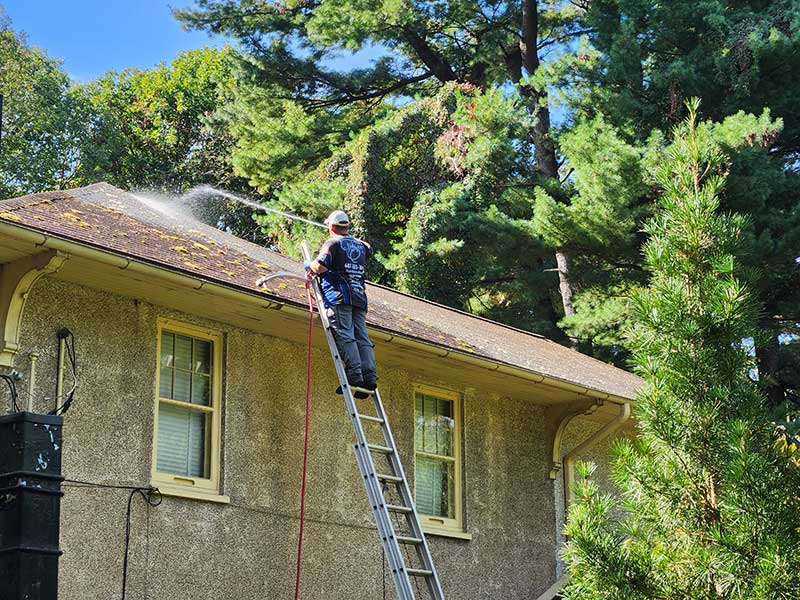 Roof Cleaning in Locke