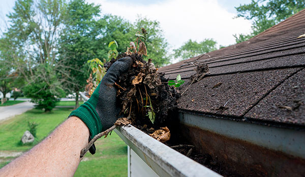 Gutter Cleaning