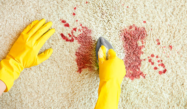 Trauma Clean Up in Missoula nav