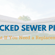 Cracked Sewer Pipe