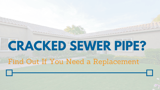 Cracked Sewer Pipe