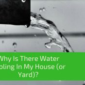 Water Pooling In My House