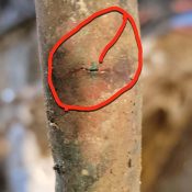 Determining Cast Iron Pipe Integrity