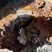 What Makes Cast Iron Pipes Fail Faster in North Texas