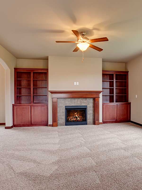 Carpet Cleaning in Anoka, MN