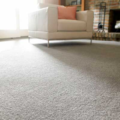 Carpet Cleaning in Anoka, MN
