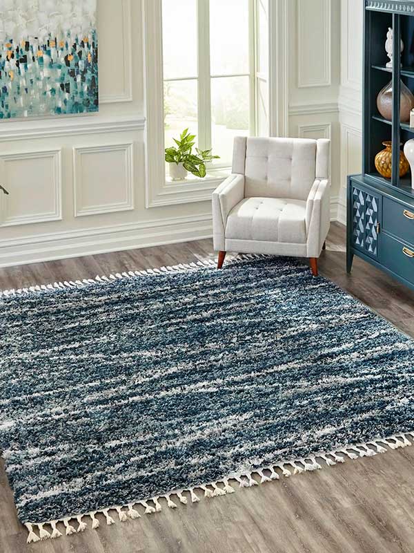 Rug Cleaning in Anoka