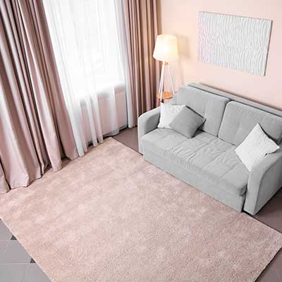 Rug Cleaning in Anoka