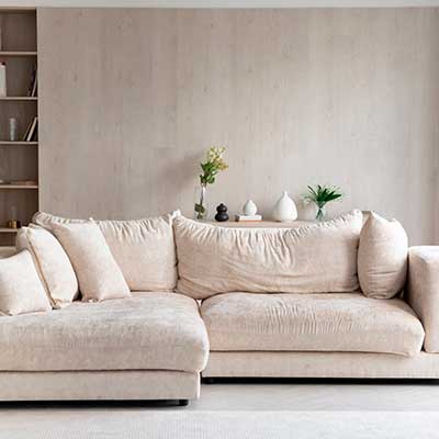 Upholstery Cleaning in Anoka