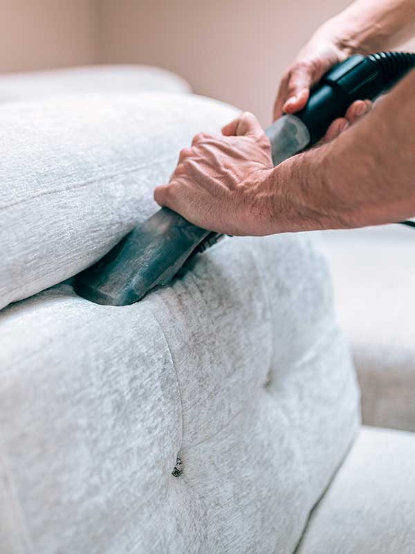 Upholstery Cleaning in Anoka