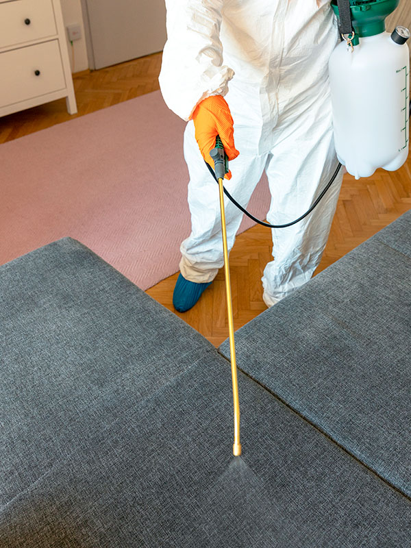 Decontamination Services in Altamonte Springs