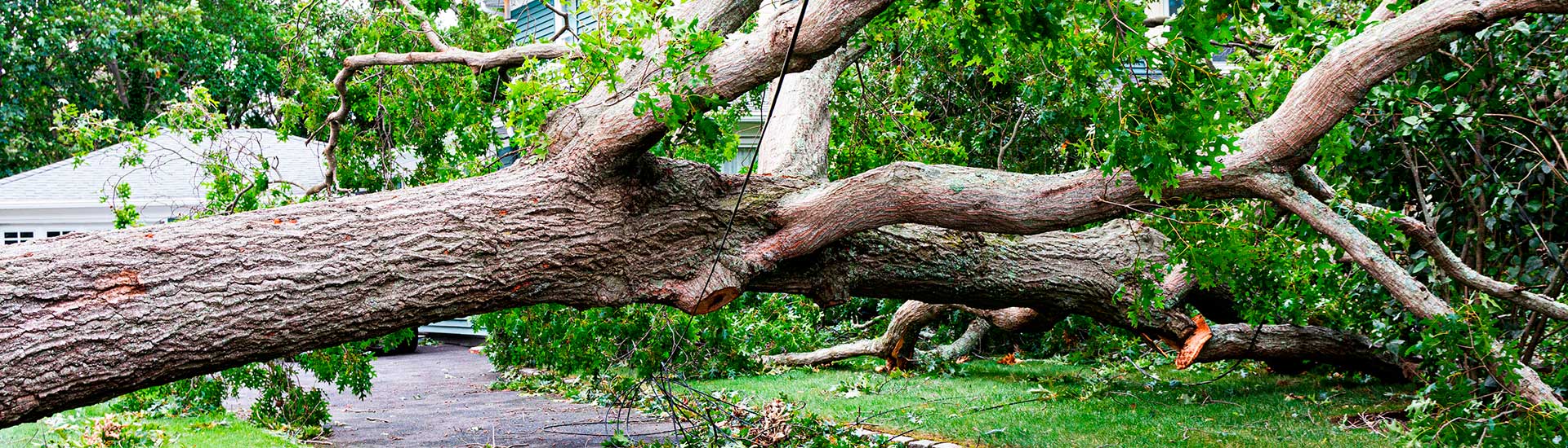 Hurricane Electrical Preparation & Recovery Services bg