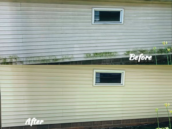 House Washing in Middleton