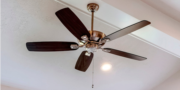 ceiling fan with light